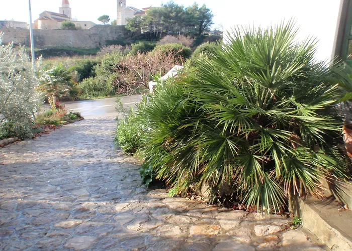 Apartments Delfin